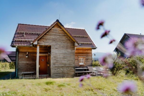 Гостиница Torfhaus Harzresort  Альтенау